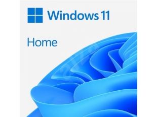 Microsoft Windows 11 Home EN (OEM)