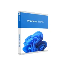 Windows 11 Professional